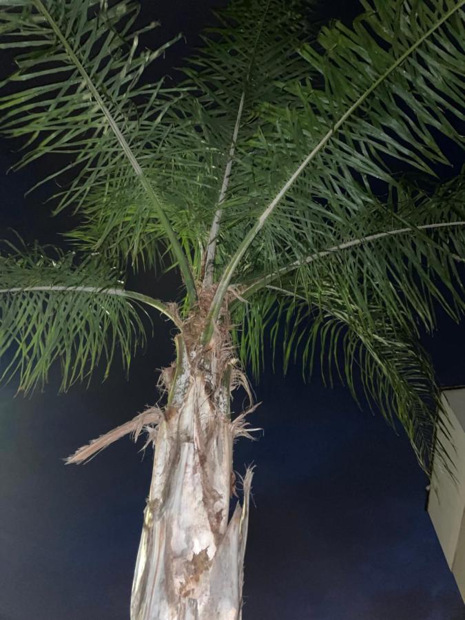 Ancora Del Salento Villa Lecce Exteriör bild